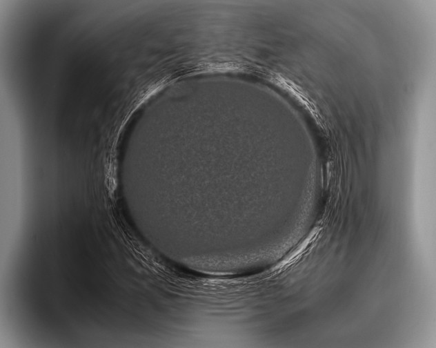 X0000096981165200802081401