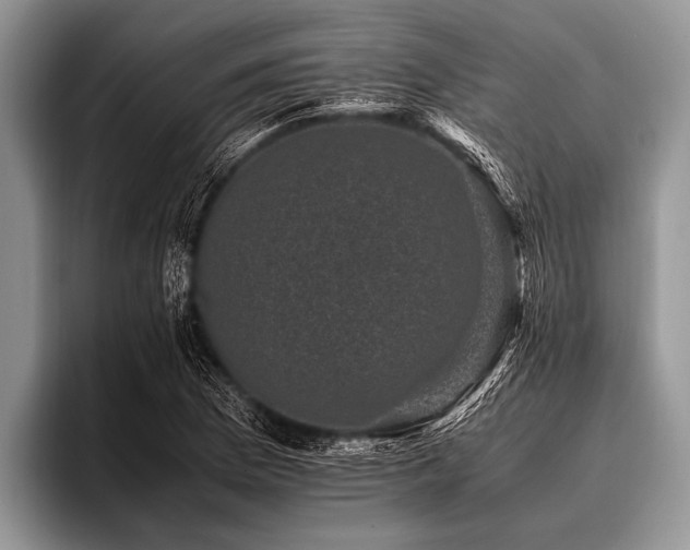 X0000096981169200802081401