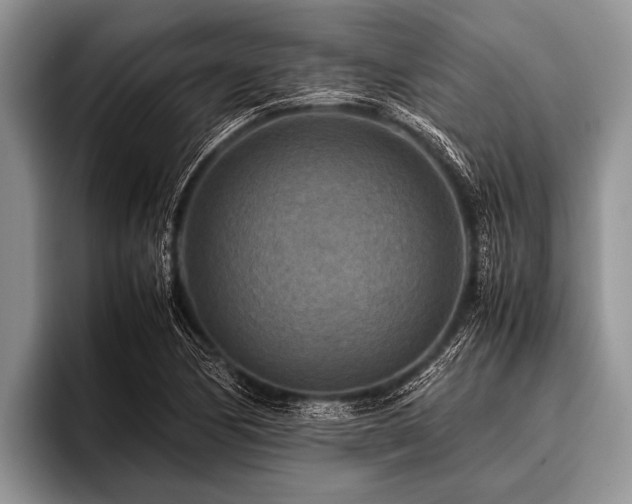 X0000096981170200802081401