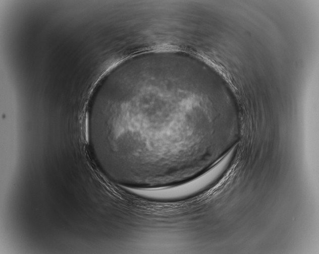 X0000096981171200802081401