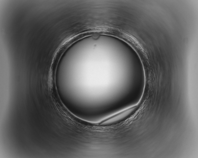 X0000096981172200802081401