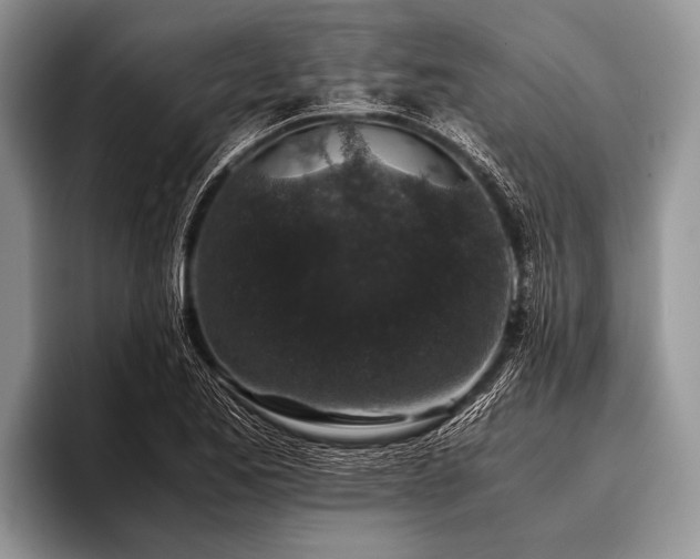 X0000096981173200802081401