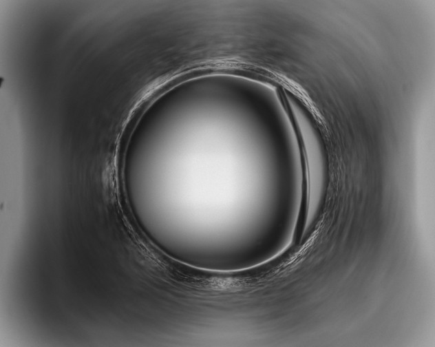 X0000096981176200802081401