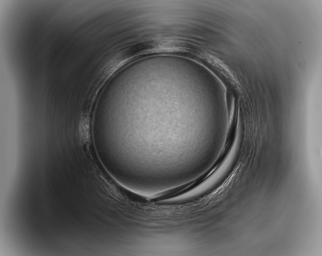 X0000096981177200802081401