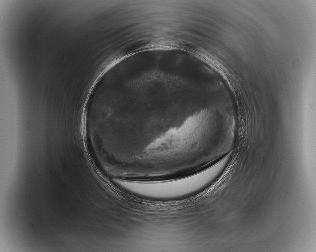 X0000096981179200802081401