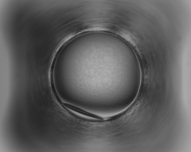 X0000096981181200802081401