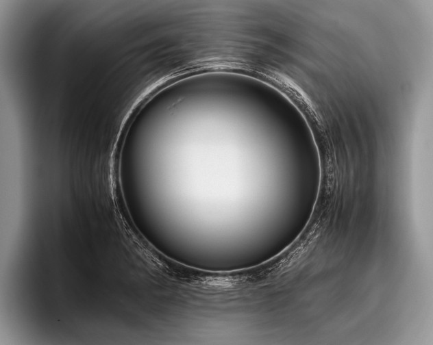 X0000096981182200802081401