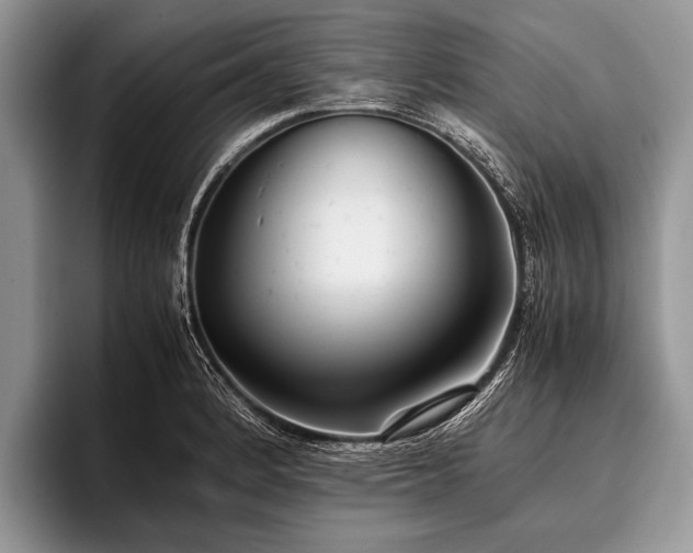 X0000096981184200802081401