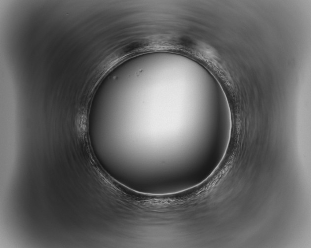 X0000096981185200802081401