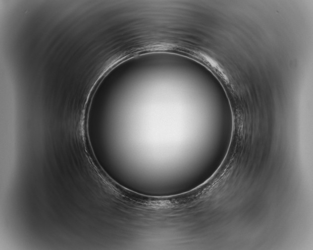 X0000096981186200802081401