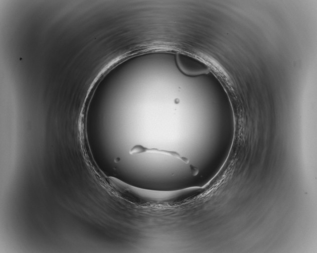 X0000096981190200802081401