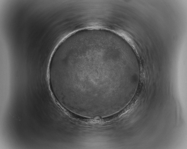 X0000096981191200802081401