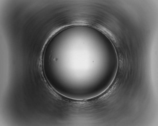 X0000096981192200802081401