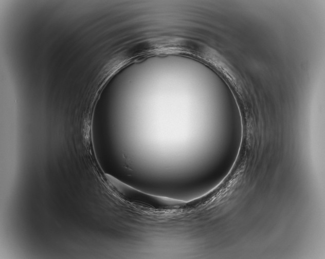 X0000096981193200802081401