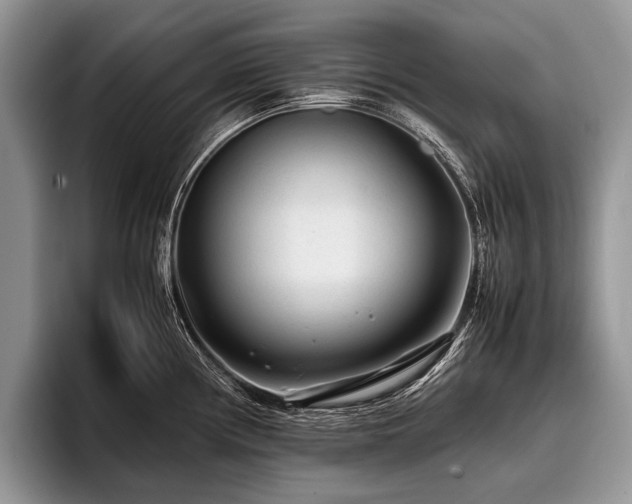 X0000096981194200802081401