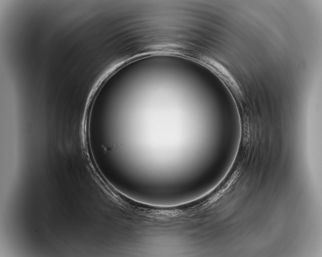 X0000096981196200802081401