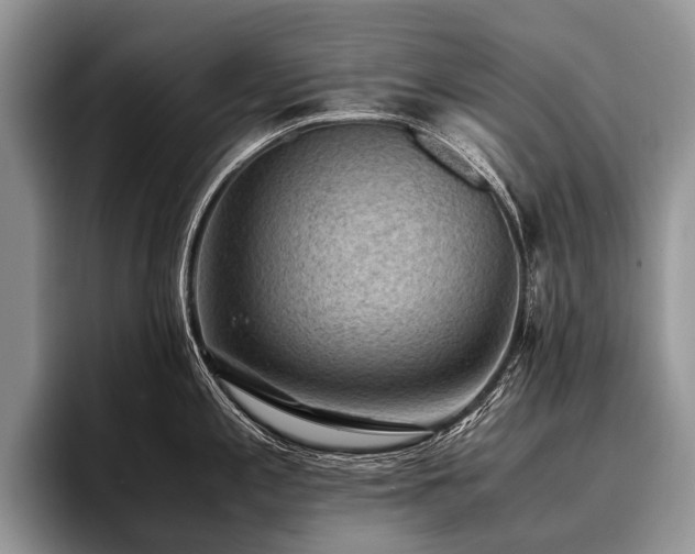 X0000096981197200802081401