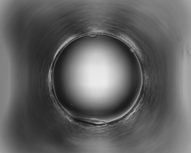 X0000096981198200802081401