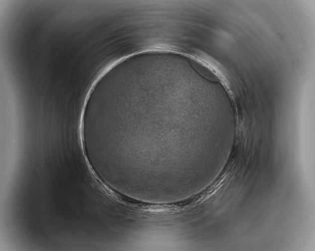 X0000096981199200802081401