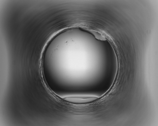 X0000096981200200802081401