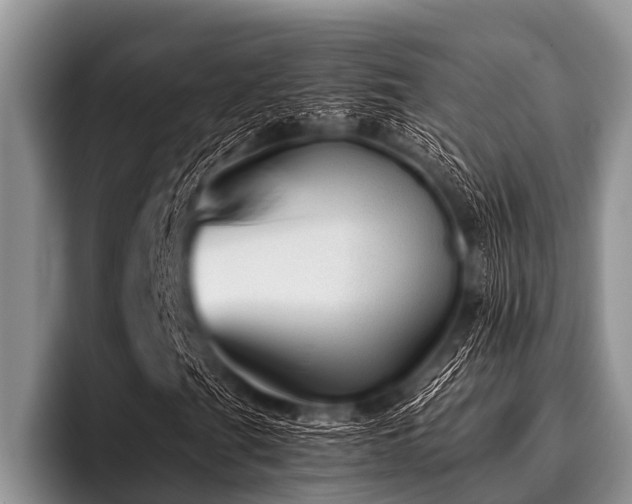 X0000096981201200802081400