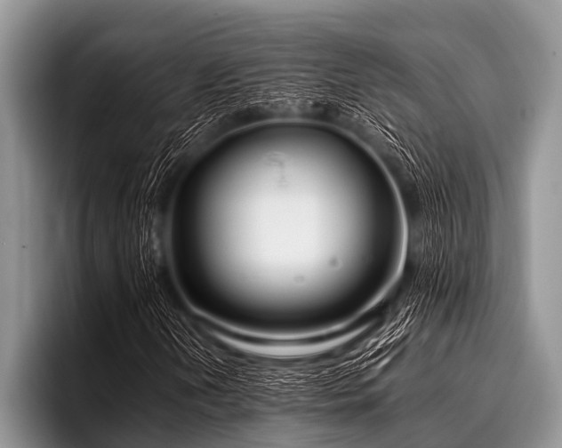 X0000096981202200802081400