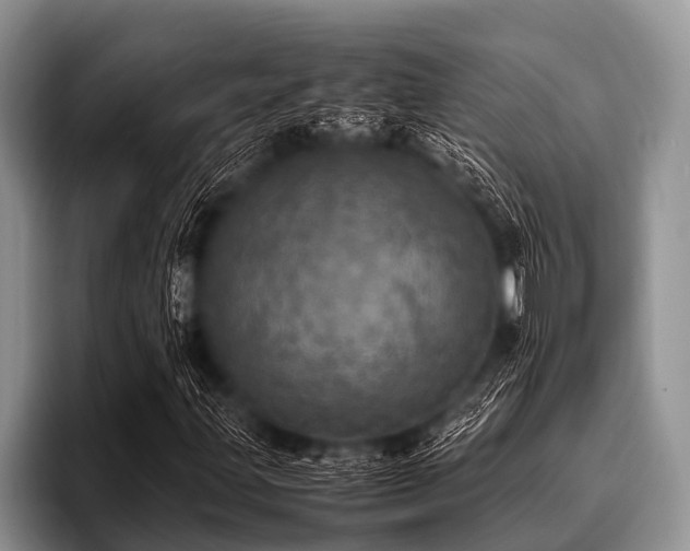 X0000096981203200802081400