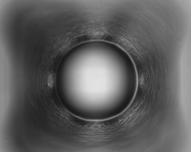 X0000096981204200802081400