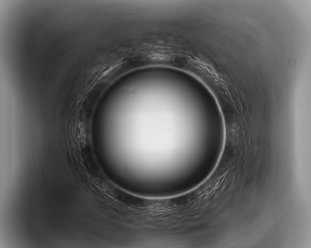 X0000096981205200802081400