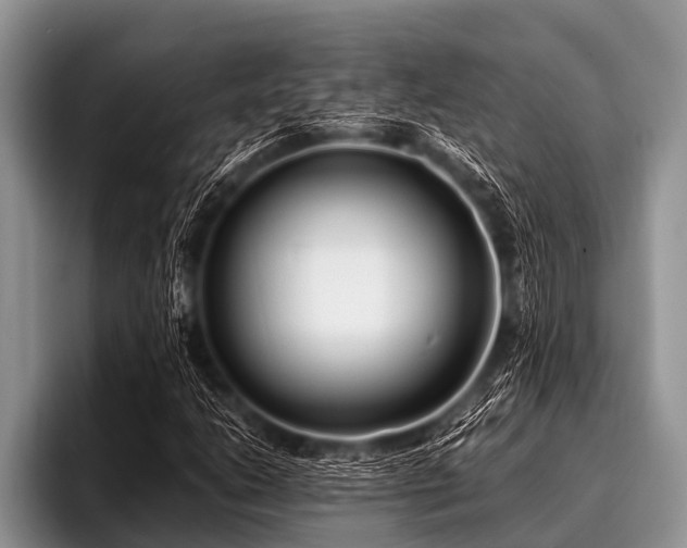 X0000096981206200802081400