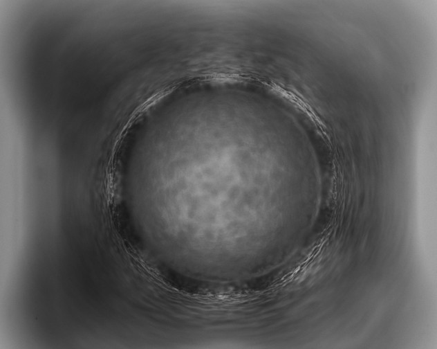 X0000096981207200802081400