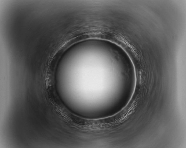 X0000096981208200802081400