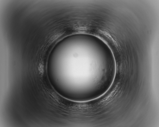 X0000096981209200802081400