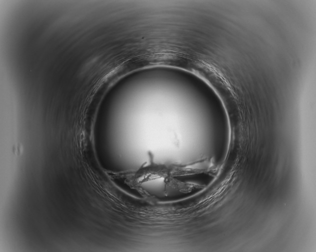 X0000096981210200802081400