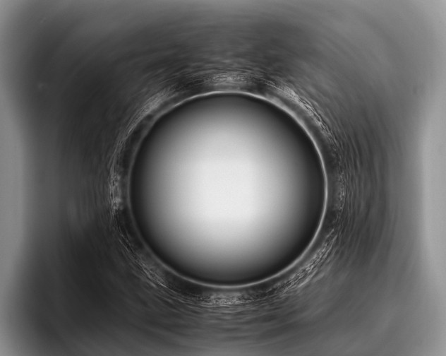 X0000096981211200802081400