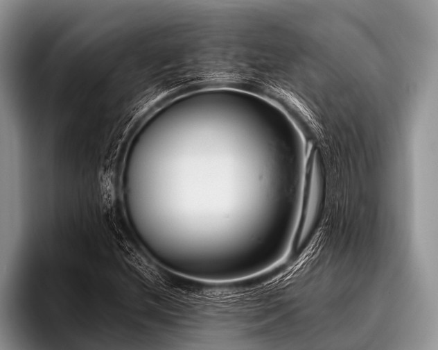 X0000096981212200802081400