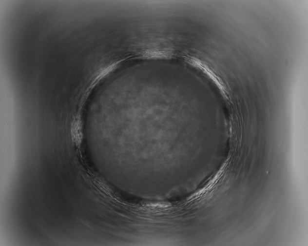 X0000096981213200802081401