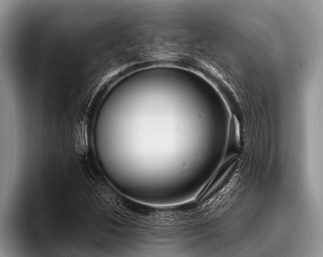 X0000096981214200802081401