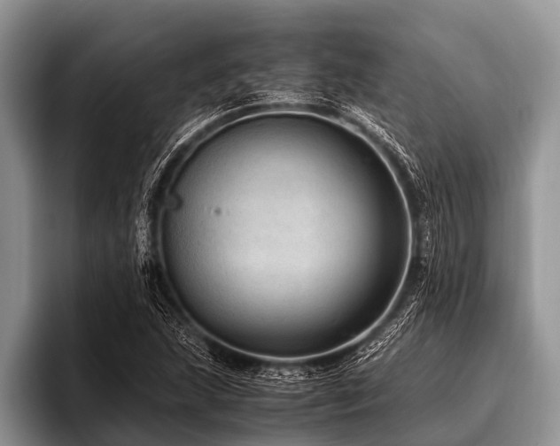 X0000096981215200802081401