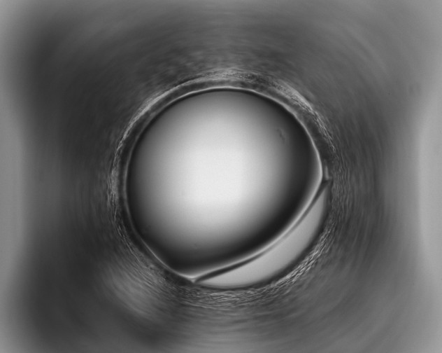 X0000096981216200802081401