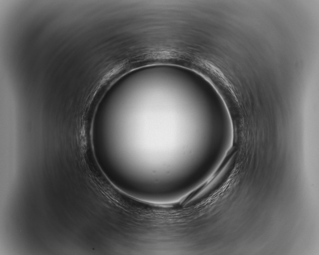 X0000096981218200802081401