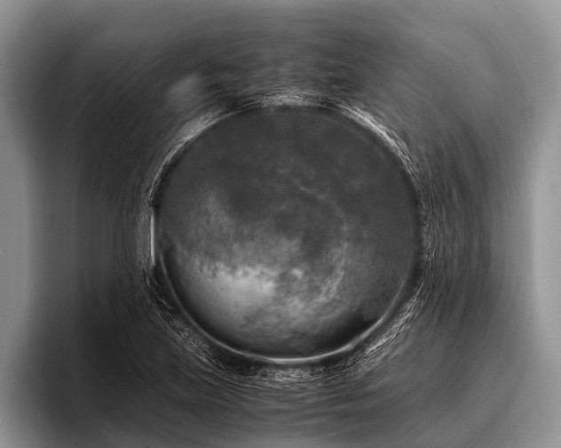 X0000096981219200802081401