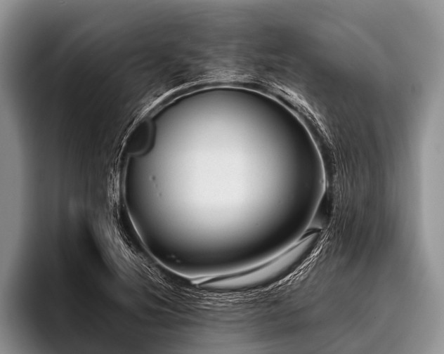 X0000096981220200802081401