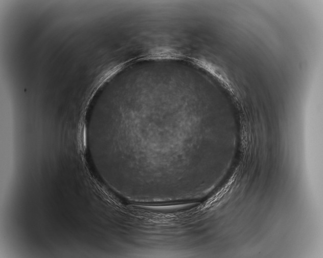 X0000096981221200802081401