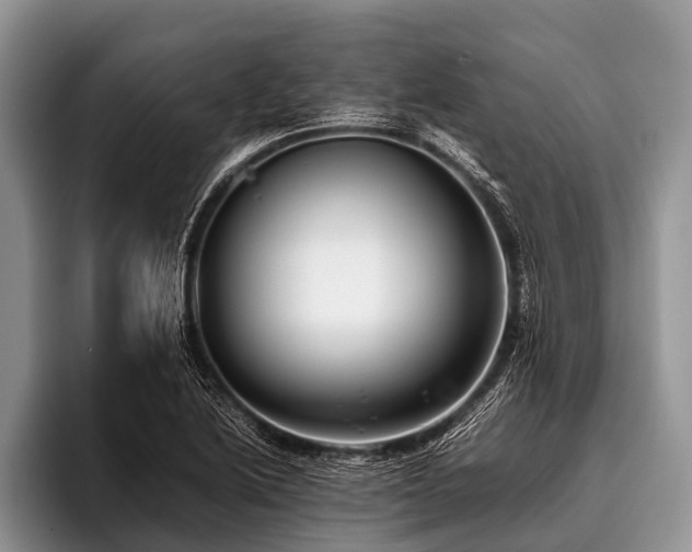 X0000096981222200802081401