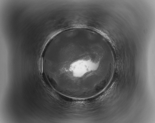 X0000096981223200802081401