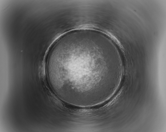 X0000096981224200802081401