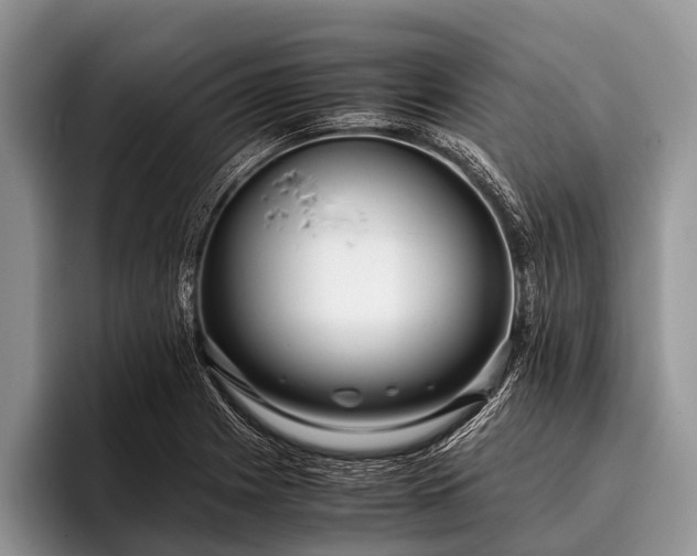 X0000096981225200802081401