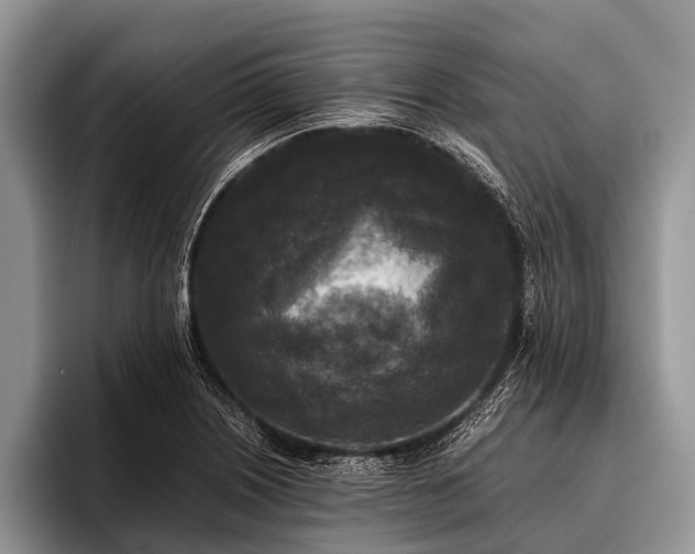 X0000096981226200802081401