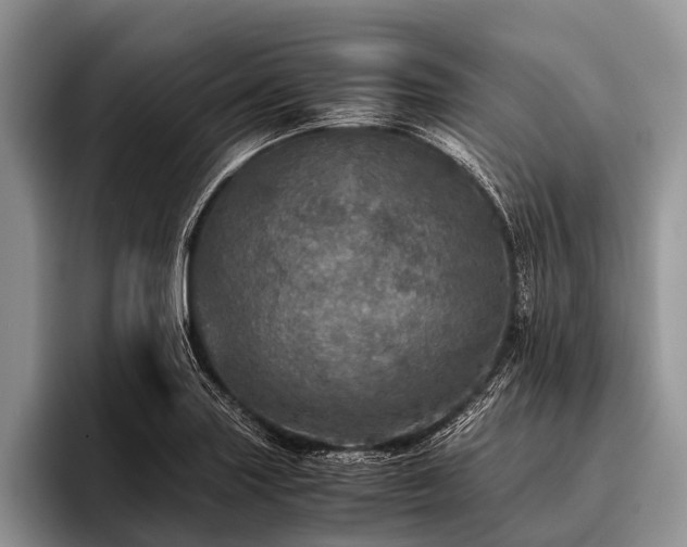 X0000096981227200802081401